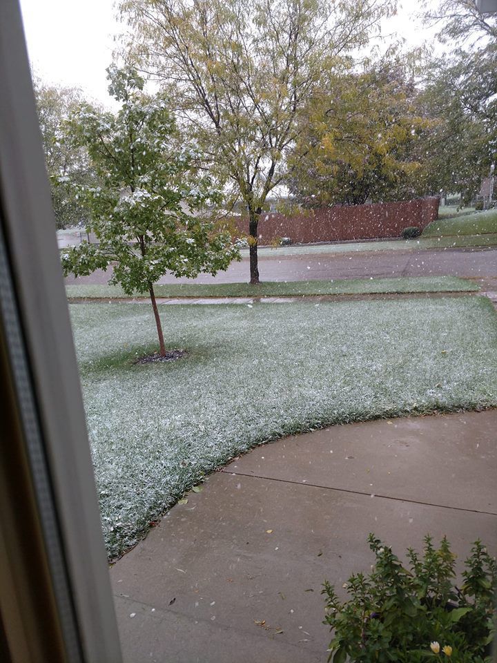 Snow, 10/14